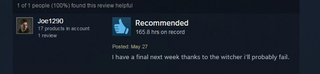 Illustration for article titled The Witcher 3, As Told By Steam Reviews